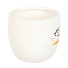 Load image into Gallery viewer, Bunny Treats Ceramic Pot