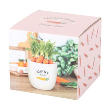 Load image into Gallery viewer, Bunny Treats Ceramic Pot