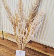 Load image into Gallery viewer, Tall Natural Fluffy Dried Pampas Grass