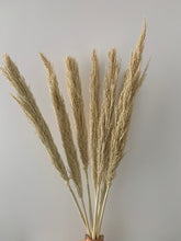 Load image into Gallery viewer, Tall Dried Reed Grass