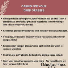 Load image into Gallery viewer, Tall Natural Fluffy Dried Pampas Grass