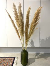 Load image into Gallery viewer, Tall Natural Fluffy Dried Pampas Grass