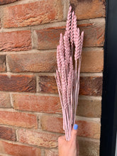 Load image into Gallery viewer, Dried Wheat Bunch In Pink