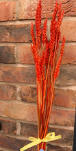 Load image into Gallery viewer, Dried Wheat Bunch In Burnt Orange