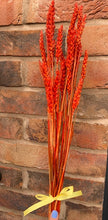 Load image into Gallery viewer, Dried Wheat Bunch In Burnt Orange