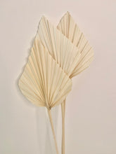 Load image into Gallery viewer, White Palm Spears