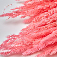 Load image into Gallery viewer, Bright Hot Pink Dried Pampas Grass