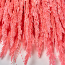 Load image into Gallery viewer, Bright Hot Pink Dried Pampas Grass
