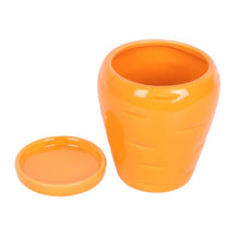 Load image into Gallery viewer, Carrot Shaped Plant Pot with Parsley Seed Balls
