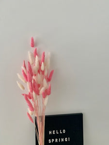 Baby Pink & White Bunny Tail Bunch