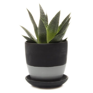 Two Tone Plant Pot With Saucer - Dark & Light Grey