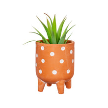 Load image into Gallery viewer, Mini Terracotta Polka Dot Planter
