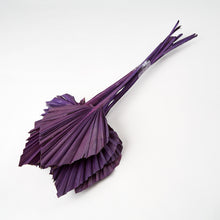 Load image into Gallery viewer, Purple Palm Spears
