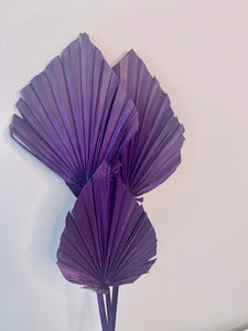 Purple Palm Spears