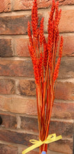 Load image into Gallery viewer, Dried Wheat Bunch In Burnt Orange
