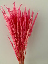 Load image into Gallery viewer, Bright Hot Pink Dried Piumetta Pampas Grass

